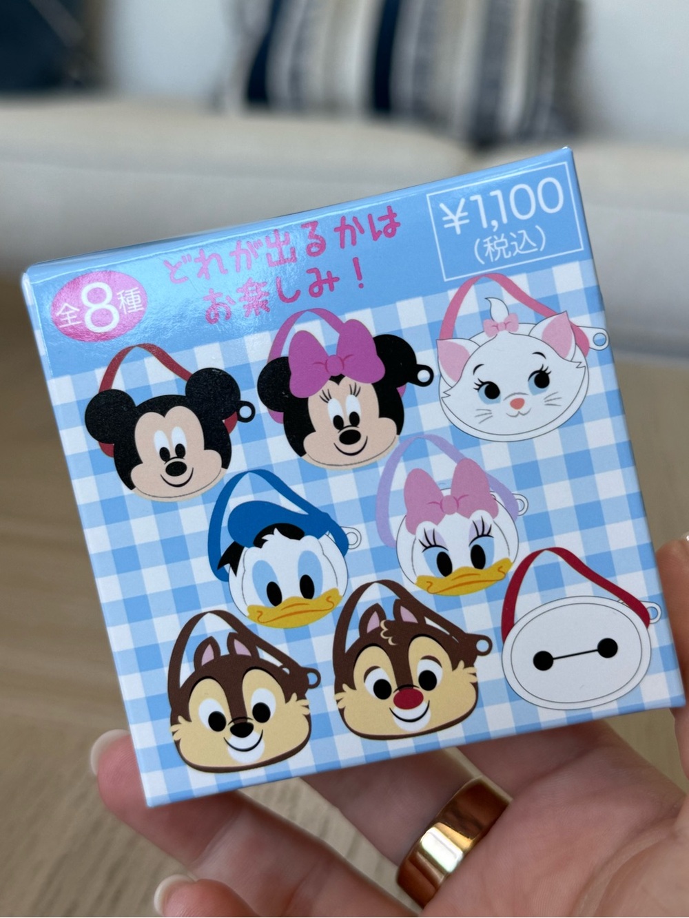 Japan Disney Store Secret Mini Plush Pochette Blind Box Mini Zipper Bag NEW